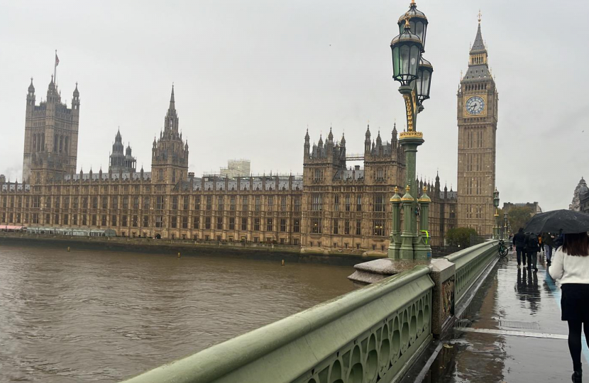 The Palace of Westminster